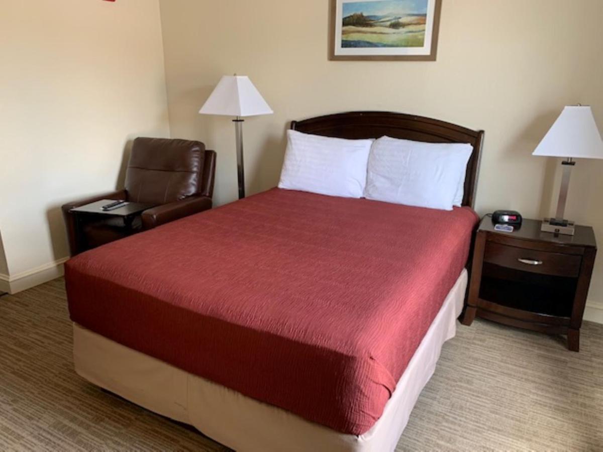 Mccoy'S Inn Ripley Bagian luar foto